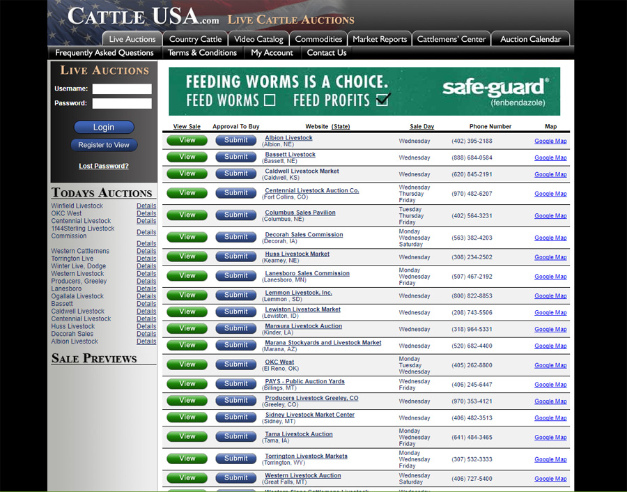 Cattle USA